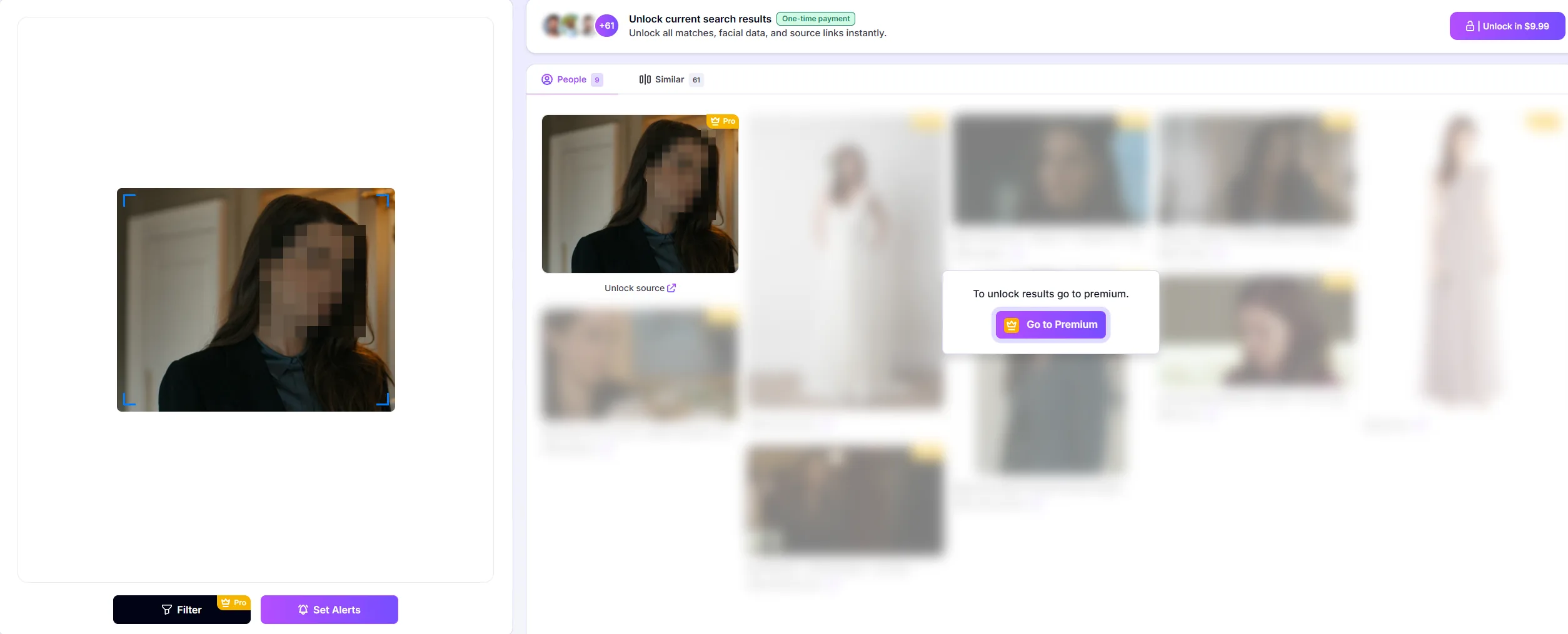 A search results page where nearly every result is blurred, with a button to unlock them for $9.99